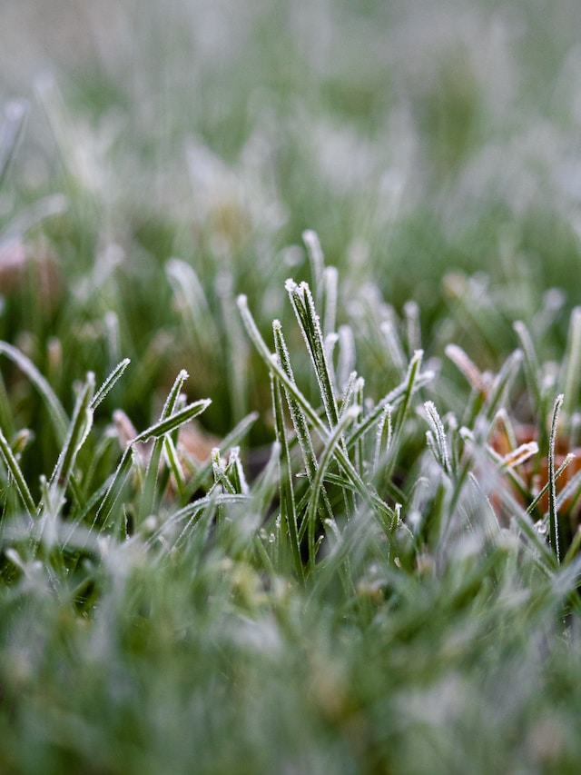 Frosty Morning Tips: De-icing Your Door on Frosty Grass - Prepare with Expert Locksmith Advice